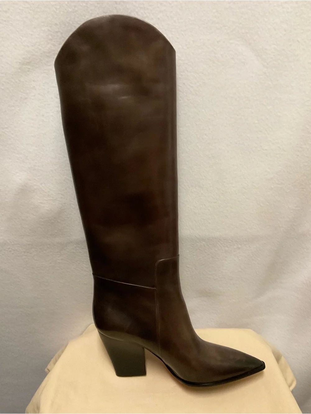 Santoni Tall Pointed-Toe Over-the-Knee Leather Boots in Dark Brown
